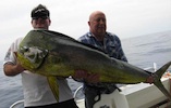 Moreton Island Fishing Charters Dolphin Fish Mahi Mahi